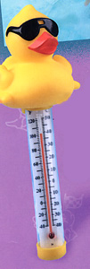 Derby Duck Thermometer