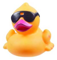 Duck Sunglasses