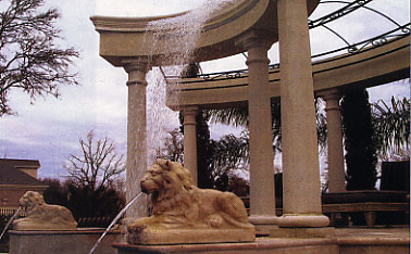 I Aint Lion