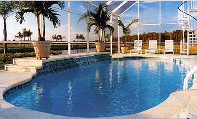 Palm Tree Paradise