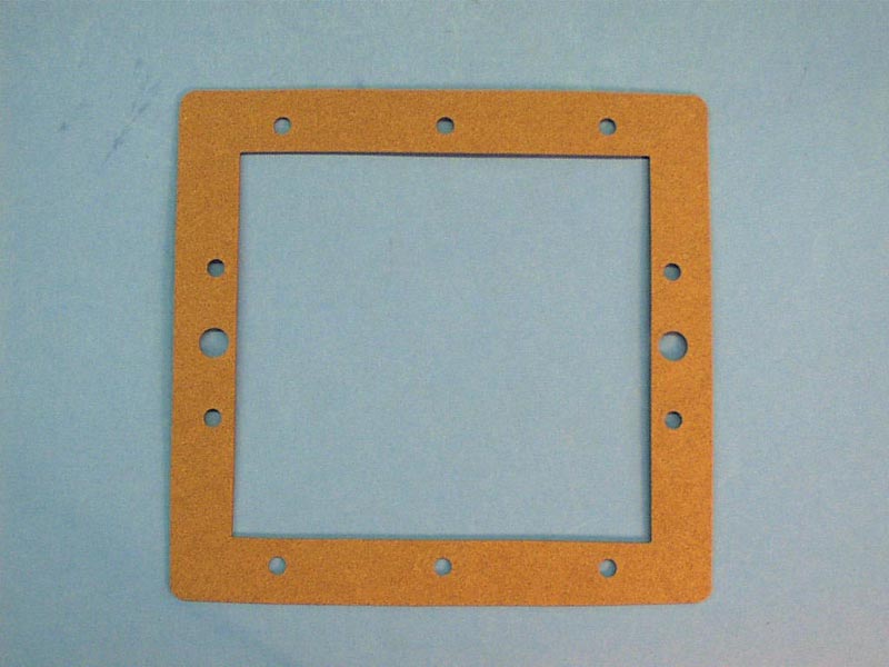 172471 - Filter Face Plate Front Gasket,RAINBOW, DSF Series - 172471